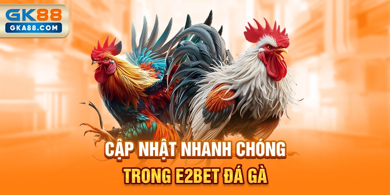 cap-nhat-nhanh-chong-trong-e2bet-da-ga