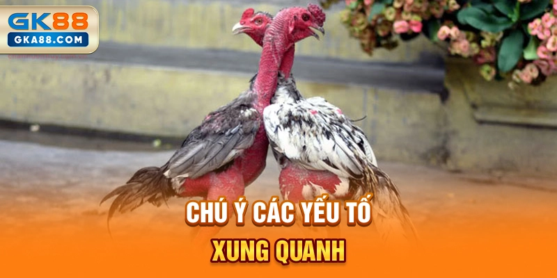 chu-y-cac-yeu-to-xung-quanh