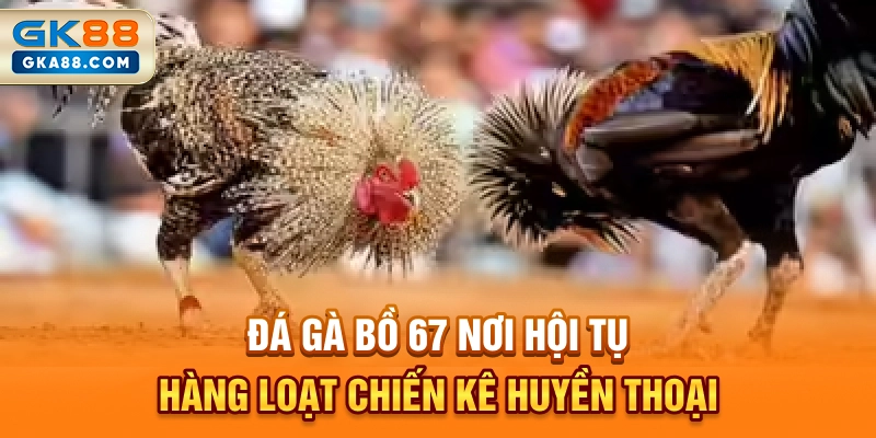 da-ga-bo-67-noi-hoi-tu-hang-loat-chien-ke-huyen-thoai