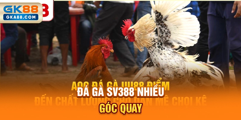 da-ga-sv388-nhieu-goc-quay