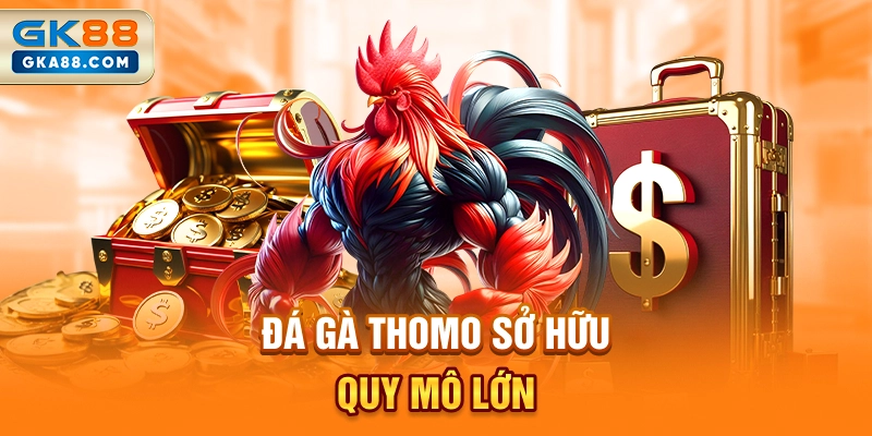 da-ga-thomo-so-huu-quy-mo-lon