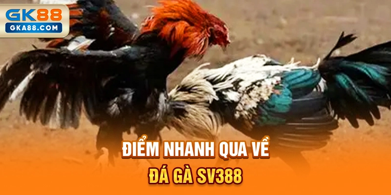 diem-nhanh-qua-ve-da-ga-sv388
