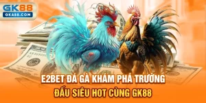 e2bet-da-ga-kham-pha-truong-dau-sieu-hot-cung-gk88