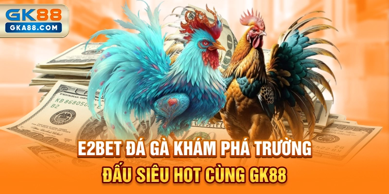 e2bet-da-ga-kham-pha-truong-dau-sieu-hot-cung-gk88