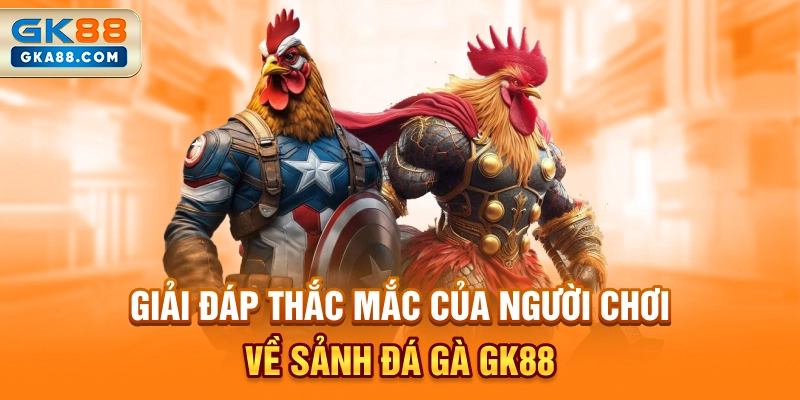 giai-dap-thac-mac-cua-nguoi-choi-ve-sanh-da-ga-gk88