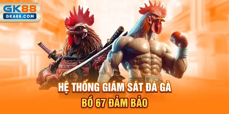 he-thong-giam-sat-da-ga-bo-67-dam-bao