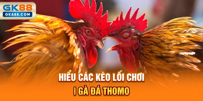 hieu-cac-keo-loi-choi-ga-da-thomo