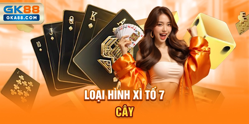 loai-hinh-xi-to-7-cay