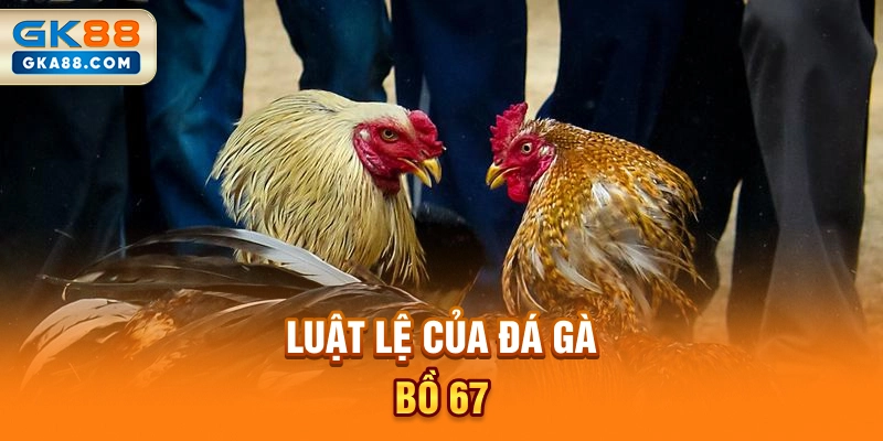 luat-le-cua-da-ga-bo-67