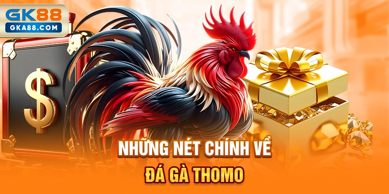 nhung-net-chinh-ve-da-ga-thomo