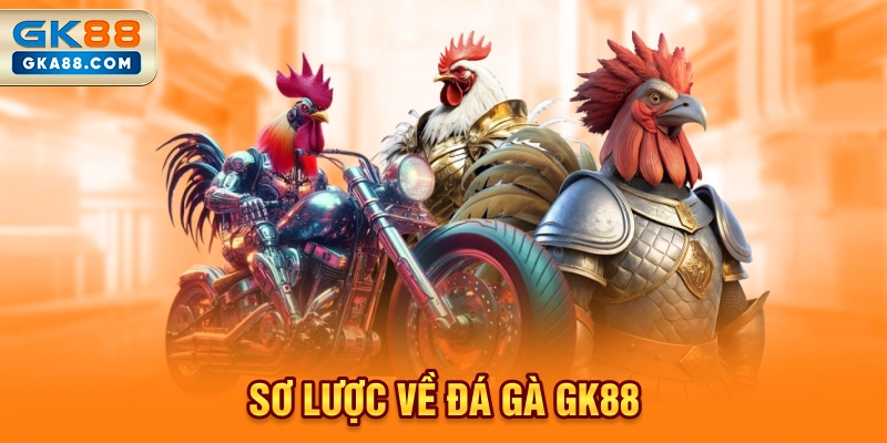 so-luoc-ve-da-ga-gk88