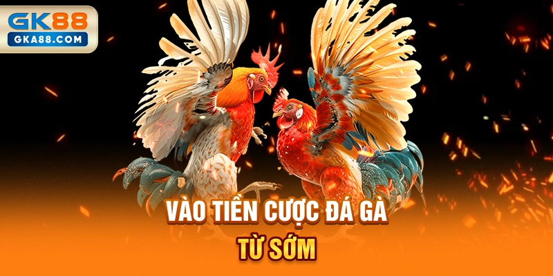 vao-tien-cuoc-da-ga-tu-som