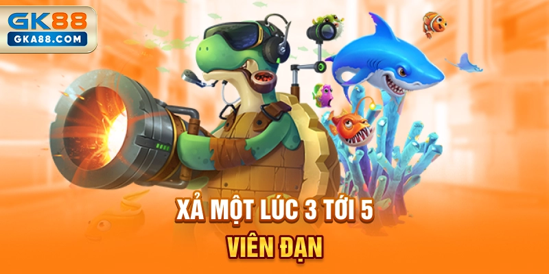 xa-mot-luc-3-toi-5-vien-dan